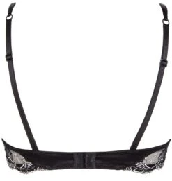 Gefütterter Seiden BH SPLENDEUR SOIE Von Lise Charmel -MAISON LEJABY Verkaufsgeschäft bh gefuettert seide acc8580b schwarz 8110 splendeur soie lise charmel 1