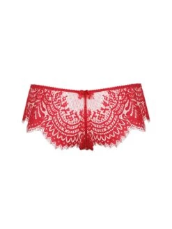 Brazilian Slip BLACK SWAN Spitze Von Prelude Milano 15 Brazilian Slip BLACK SWAN Spitze Von Prelude Milano -MAISON LEJABY Verkaufsgeschäft brazilian slip spitze yd282 rot black swan prelude milano 3 5
