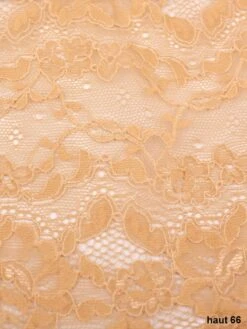 Slip Microfaser Spitze VERUSKA Von Cotton Club Rubino 22 Slip Microfaser Spitze VERUSKA Von Cotton Club Rubino -MAISON LEJABY Verkaufsgeschäft cotton club basic farbmuster spitze haut 66 1 2 1 1 1