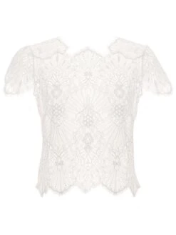 Spitze Kurzarm Top Von Prelude Milano -MAISON LEJABY Verkaufsgeschäft kurzarm top spitze yl277.seta 1 prelude milano 1