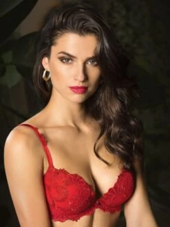 BH DRESSING FLORAL 3/4 Schale Von Lise Charmel -MAISON LEJABY Verkaufsgeschäft progressiv schale bh acc8588 rot dressing floral lise charmel 3