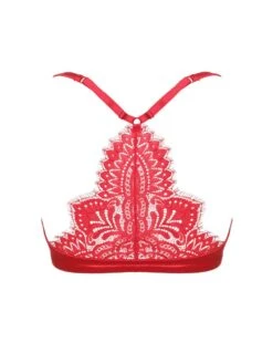 Push Up BH Mit Spitzenrücken BLACK SWAN Von Prelude Milano -MAISON LEJABY Verkaufsgeschäft push up bh gelkissen ys282 rot black swan prelude milano 3 1