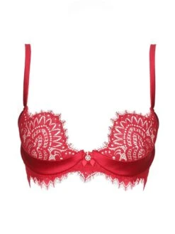 Spitzen Push Up BH BLACK SWAN Von Prelude Milano -MAISON LEJABY Verkaufsgeschäft push up bh pads spitze ys285 rot black swan prelude milano 2 1