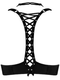 Push-Up BH ANGEL OF HARLEM Schwarz Von Marlies Dekkers -MAISON LEJABY Verkaufsgeschäft push up bh schwarz 19801 angel of harlem marlies dekkers 1