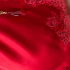 Seta Superior Seide Triangel-BH SPECIALE Von Cotton Club -MAISON LEJABY Verkaufsgeschäft seide mit spitze rosso cotton club 3