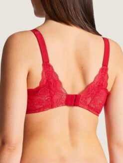 Komfort Triangel BH ROSESSENCE HK Spitze Von Aubade -MAISON LEJABY Verkaufsgeschäft spitze dessous hk12 02 3 gala rot rosessence aubade