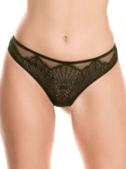 Spitze String Von Prelude Milano -MAISON LEJABY Verkaufsgeschäft string spitze yd273 yd273.neg 1 prelude milano 1