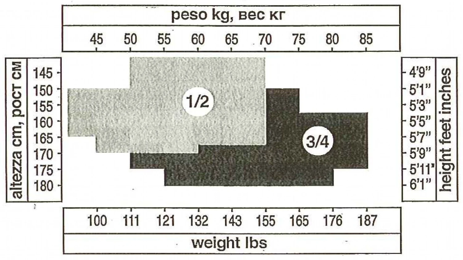 Breiter Strapsgürtel MOIRE Von Trasparenze 5 Breiter Strapsgürtel MOIRE Von Trasparenze – Bild 3