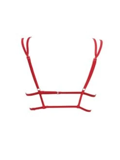 Triangel Longline BLACK SWAN BH Aus Spitze Von Prelude Milano -MAISON LEJABY Verkaufsgeschäft triangel bh longline ys281 rot black swan prelude milano 2